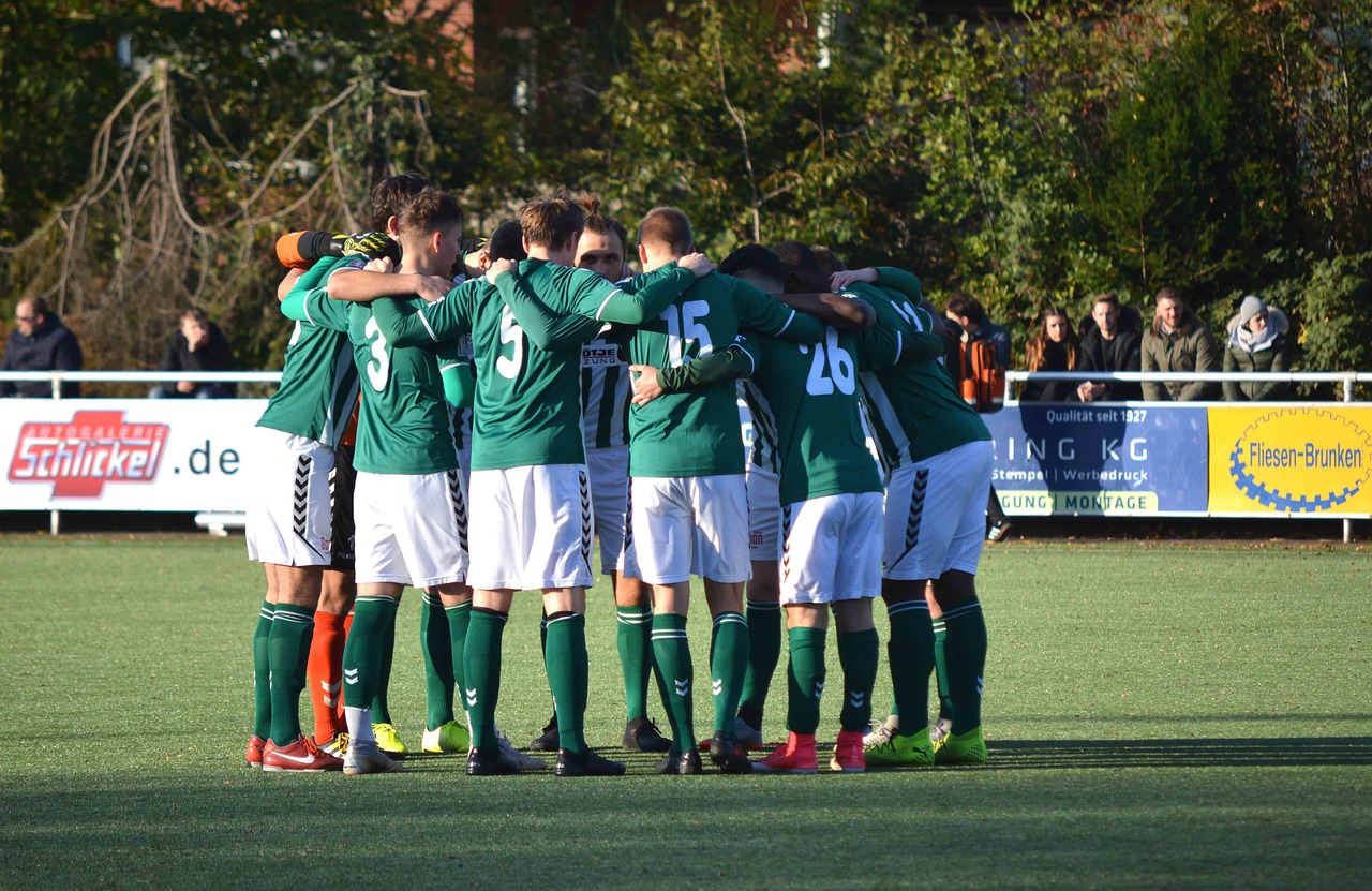 购买种子的平台