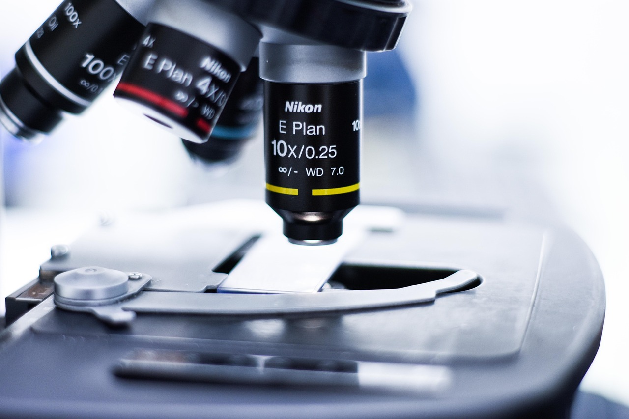 在家做的代理平台