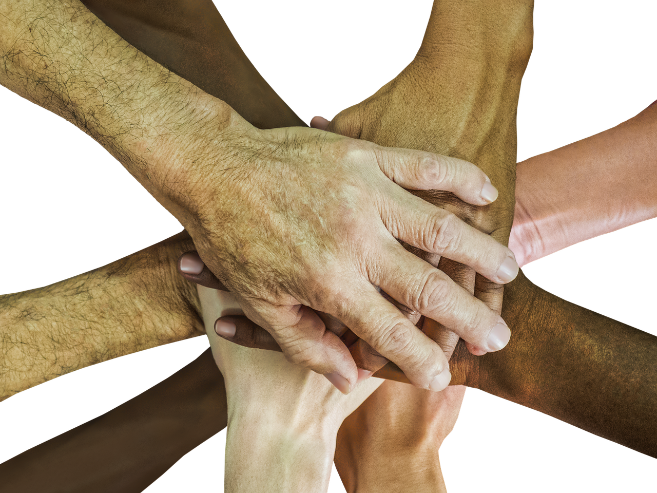 缅甸云斯顿蓝莓爆珠：代理公司注册公章